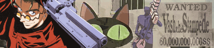 trigunbanner18.gif